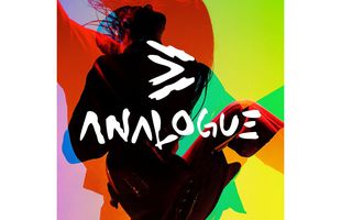 ANALOGUE Festival, un weekend în natură cu muzică & artă la Mioveni