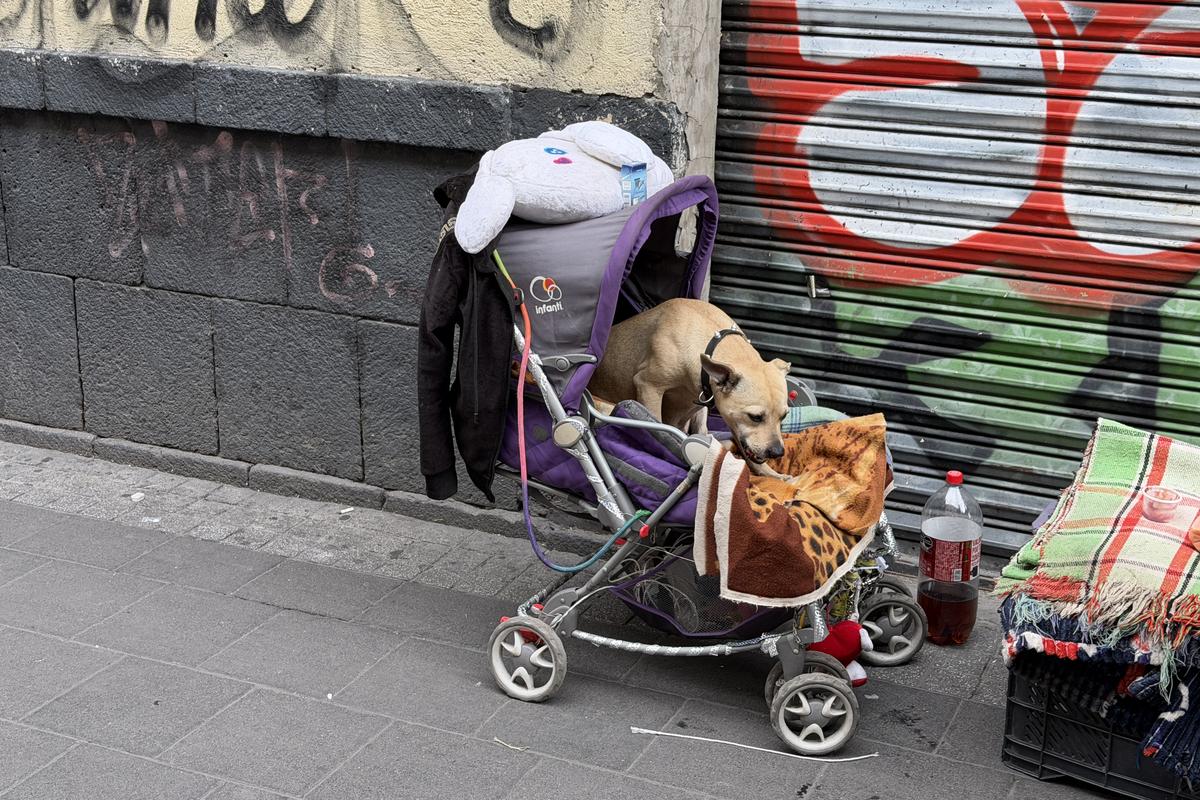 Imagini din Tepito 2
