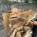 Street food în Mexico City FOTO: Ionuț Iordache (GSP)