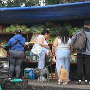 Street food în Mexico City FOTO: Ionuț Iordache (GSP)