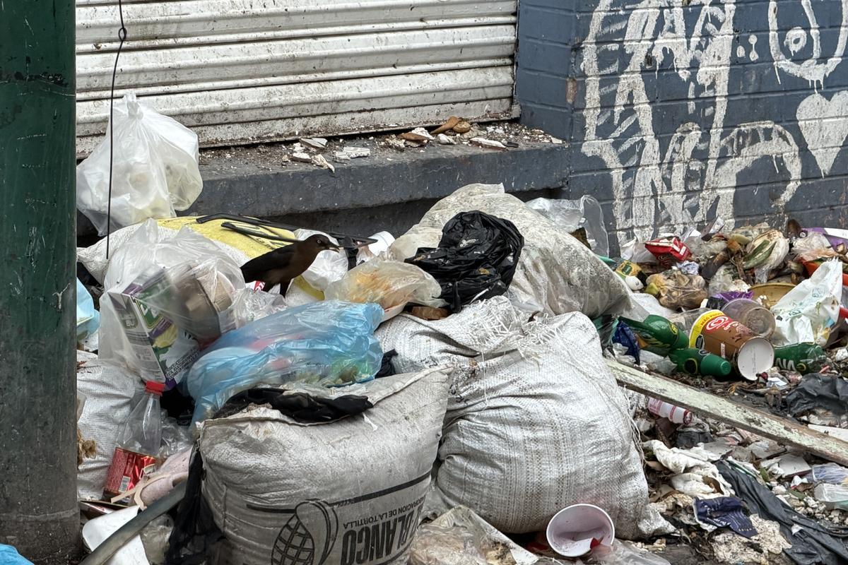 Imagini din Tepito 2