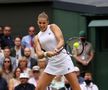 Ashleigh Barty - Karolina Pliskova, finala Wimbledon 2021
