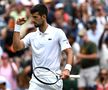 Novak Djokovic - Hubert Hurkacz, duel la Wimbledon 2023