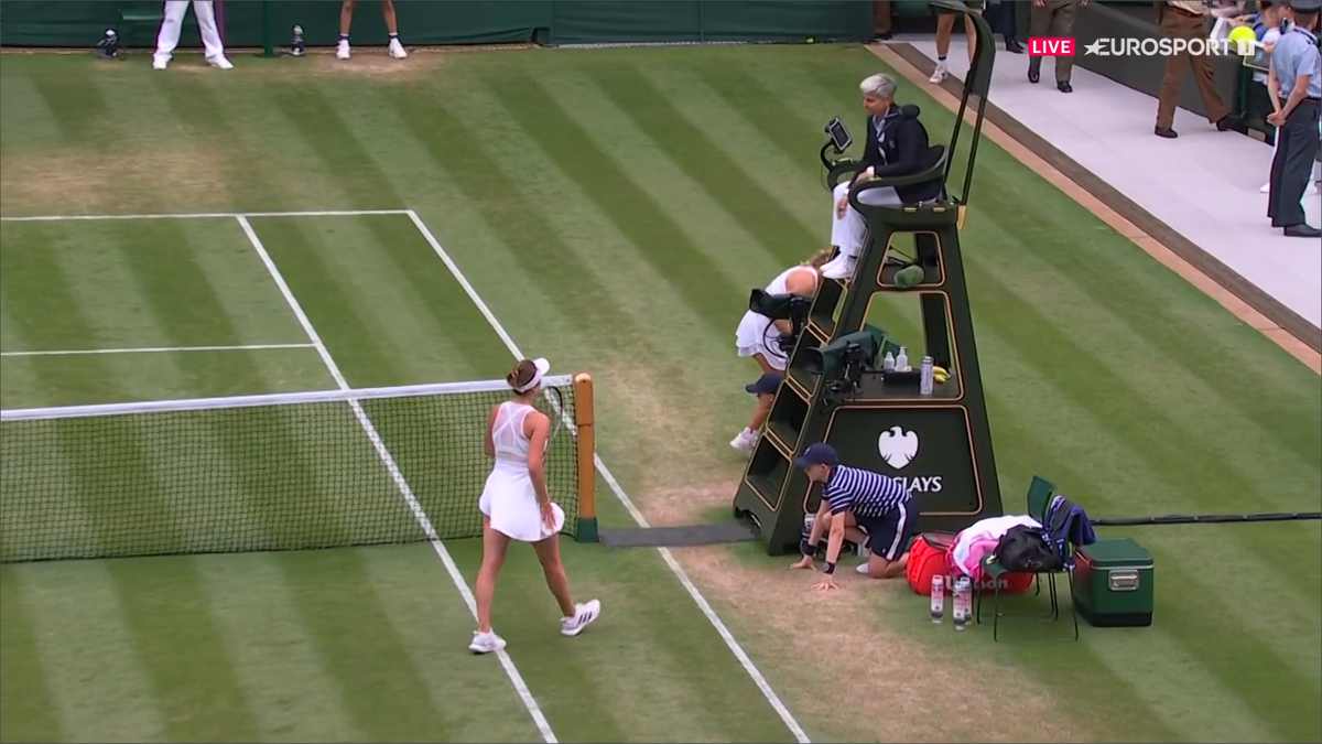 Azarenka și Svitolina nu s-au salutat după meciul de la Wimbledon