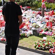 Cody Gakpo / Foto: Instagram