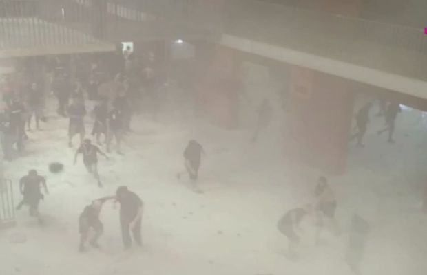 Mihai Stoica, furios după ce a văzut declarațiile lui Oprița: „E revoltător și lumea tace! Avem război civil”