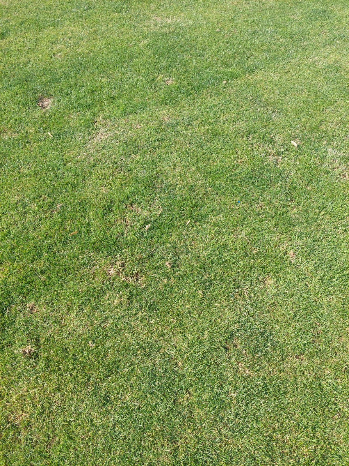 Șefii lui Dinamo au luat în calcul revenirea în „Ștefan cel Mare” » Ce i-a șocat pe „câini”