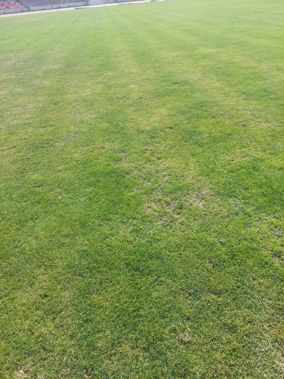 Cum arată gazonul de pe stadionul Dinamo