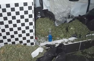 Descoperire incredibilă: plantație de marijuana în vila de un milion de lire a fostului jucător de la Liverpool