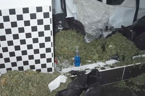 „Munte” de marijuana din casa lui Jermaine Pennant // foto: captură YouTube