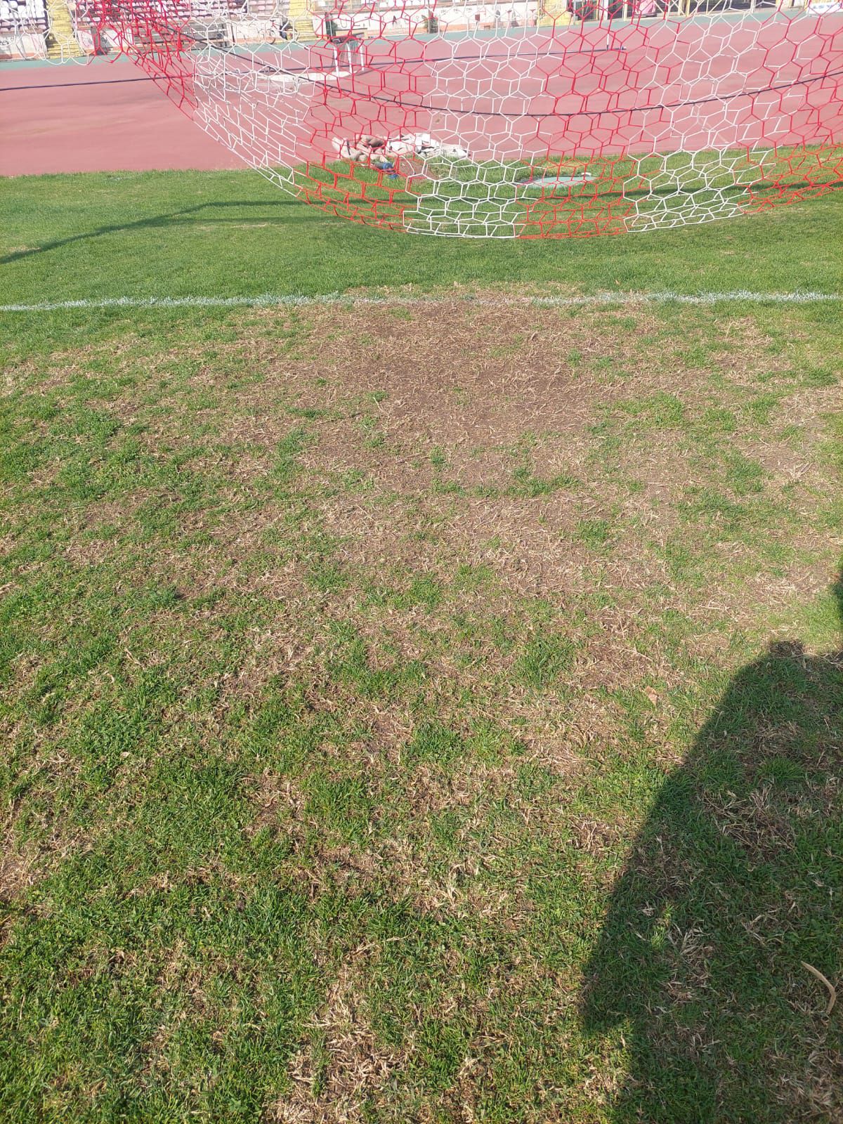 Cum arată gazonul de pe stadionul Dinamo