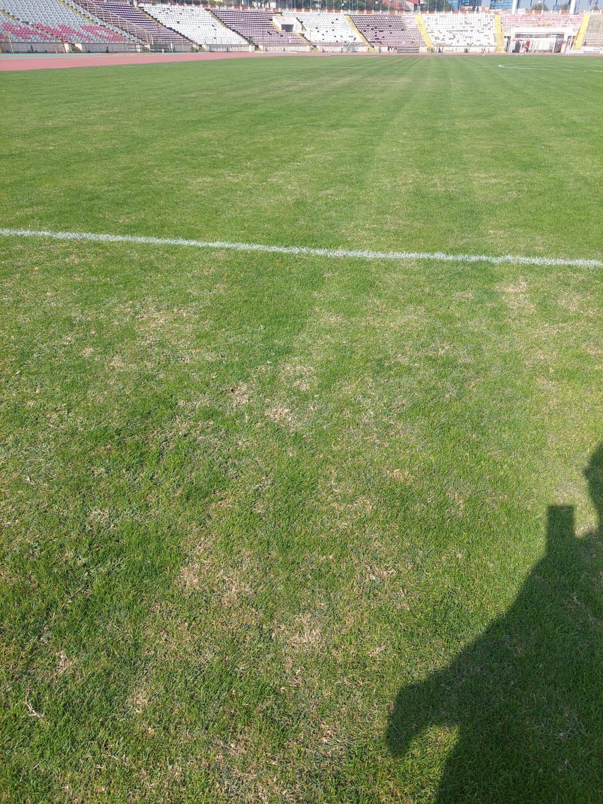 Cum arată gazonul de pe stadionul Dinamo