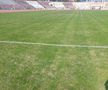 Cum arată gazonul de pe stadionul Dinamo