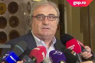 Mihai Stoichiță, la sosirea la Budapesta: „Edi Iordănescu are o problemă”