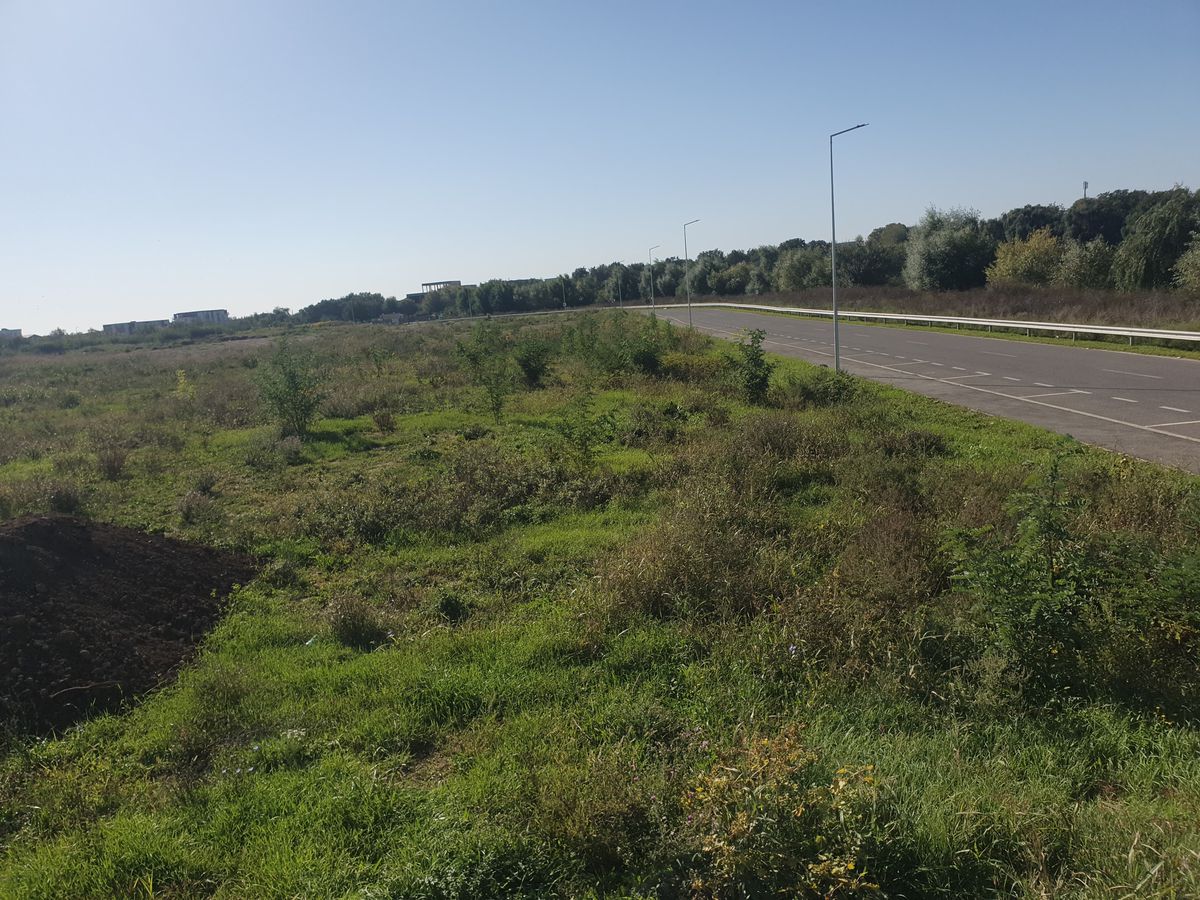 Invitat pe scenă, Dan Șucu și-a spus public nemulțumirea: „Așa aș vrea s-o văd pe Rapid” » Apoi a prezentat planul revoluționar la care lucrează în culise