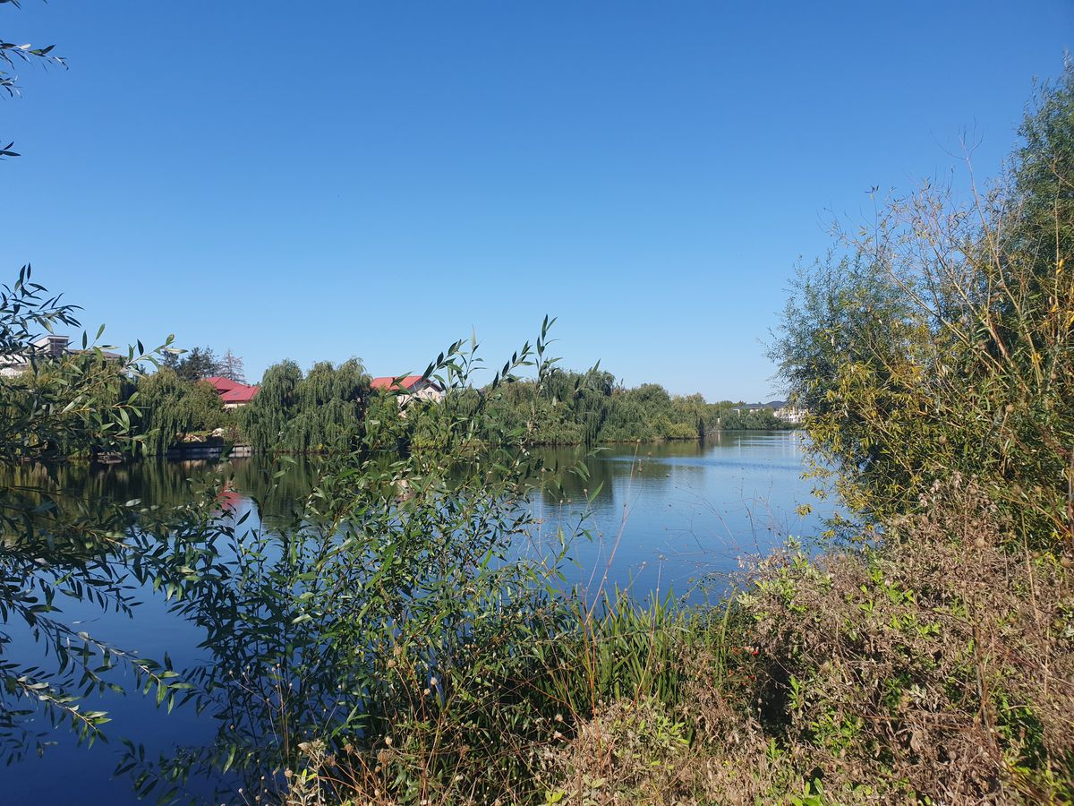 Invitat pe scenă, Dan Șucu și-a spus public nemulțumirea: „Așa aș vrea s-o văd pe Rapid” » Apoi a prezentat planul revoluționar la care lucrează în culise