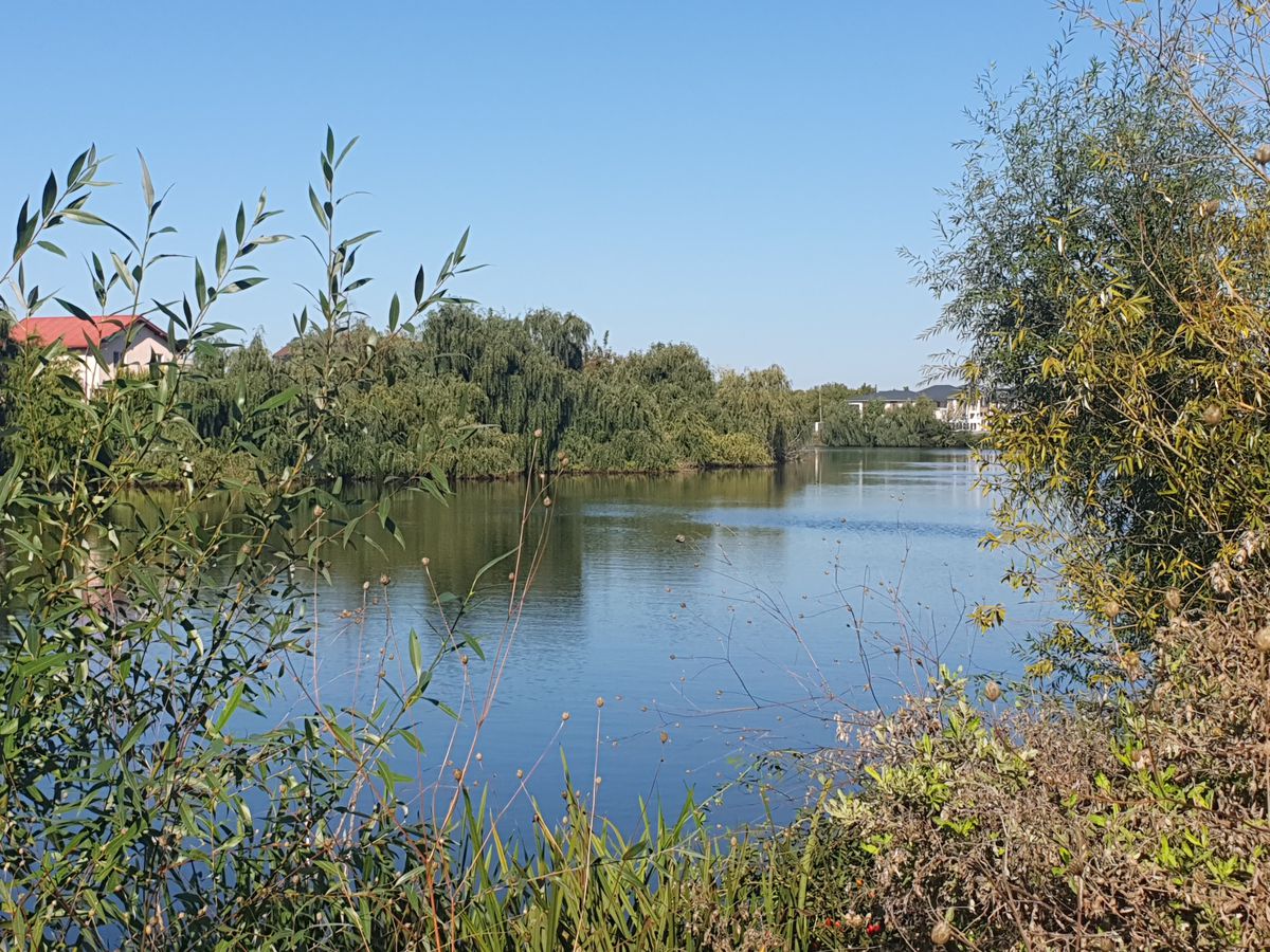 Invitat pe scenă, Dan Șucu și-a spus public nemulțumirea: „Așa aș vrea s-o văd pe Rapid” » Apoi a prezentat planul revoluționar la care lucrează în culise