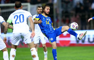 România, avantaj cu Bosnia » Două lovituri încasate joi seară