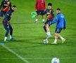 „Dacă nu-i bateți, sunteți praf!” » Ce s-a întâmplat azi la antrenamentul României: imaginile venite de la Mogoșoaia