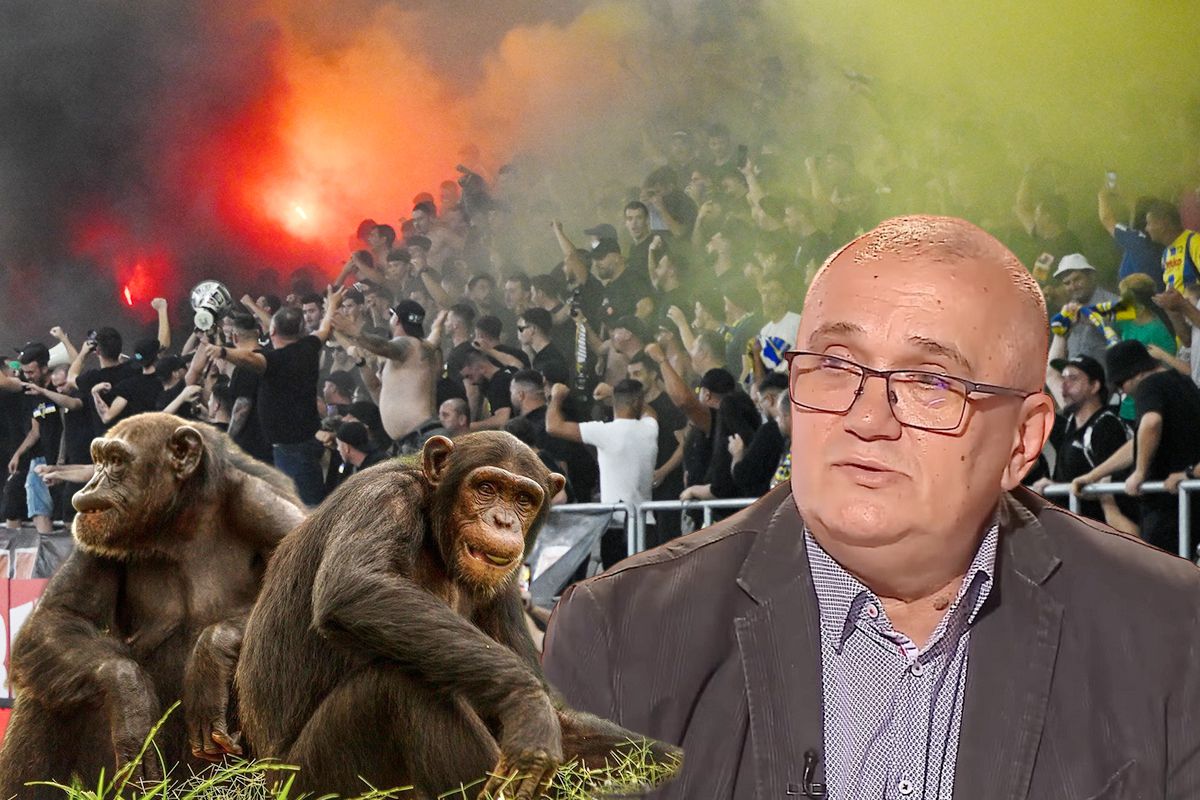 Emil Grădinescu a comparat fanii unei echipe din România cu niște cimpanzei! » Reacție incredibilă la audierea de la CNA: „Îmi cer scuze pentru cimpanzei”