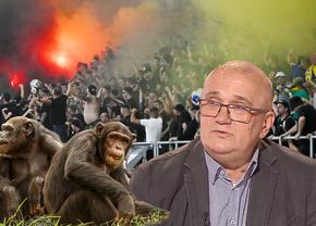 Emil Grădinescu a comparat fanii unei echipe din România cu niște cimpanzei! » Reacție incredibilă la audierea de la CNA: „Îmi cer scuze pentru cimpanzei”