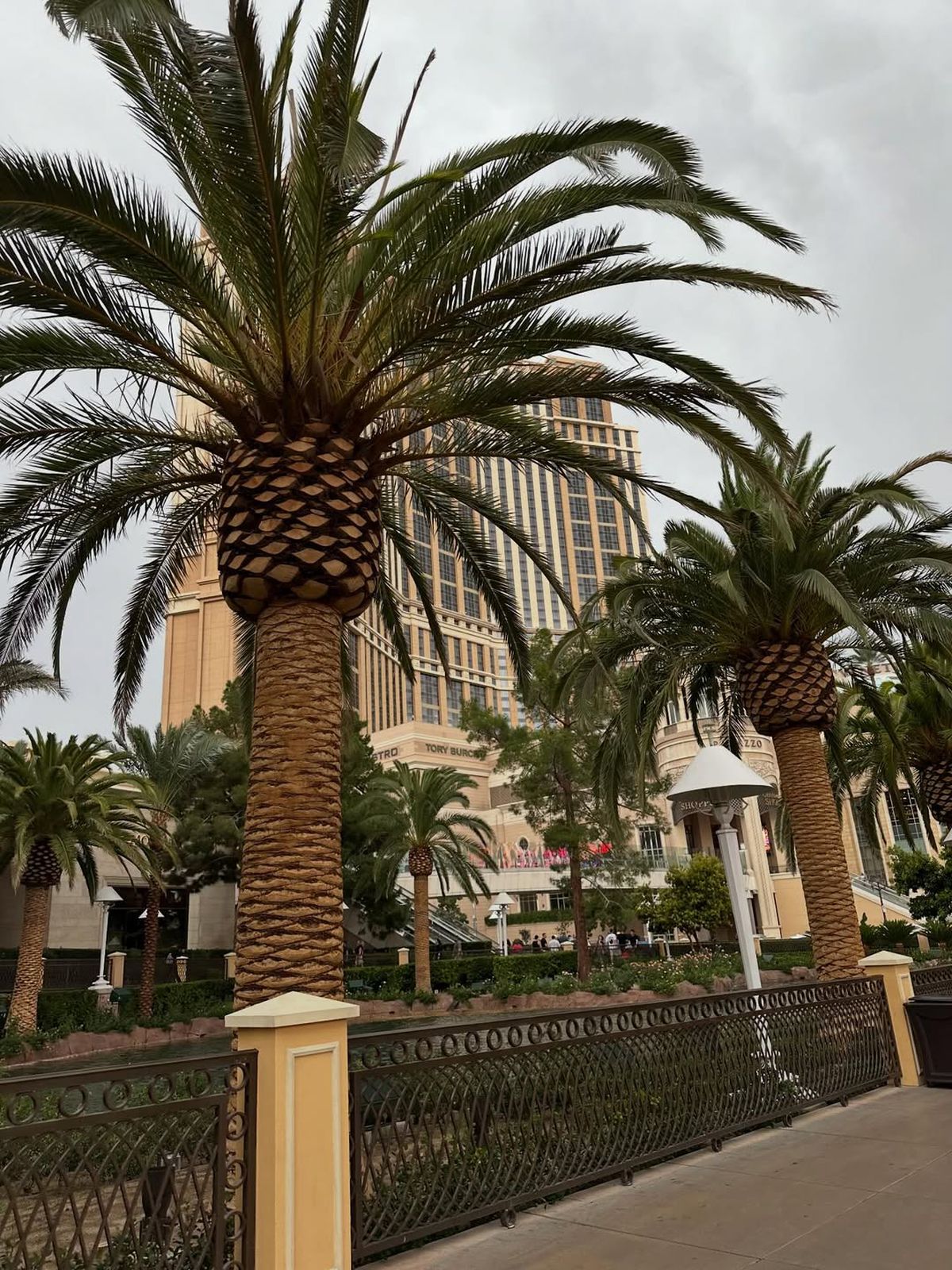 Viața Cristinei Neagu după retragere. Foto: Instagram