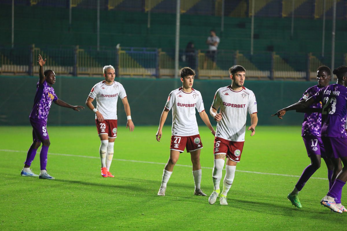 David Niculescu şi Andrei Şucu