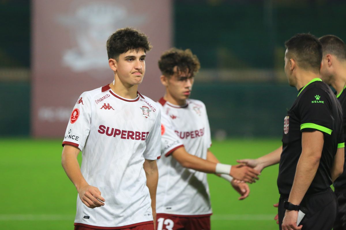 David Niculescu şi Andrei Şucu