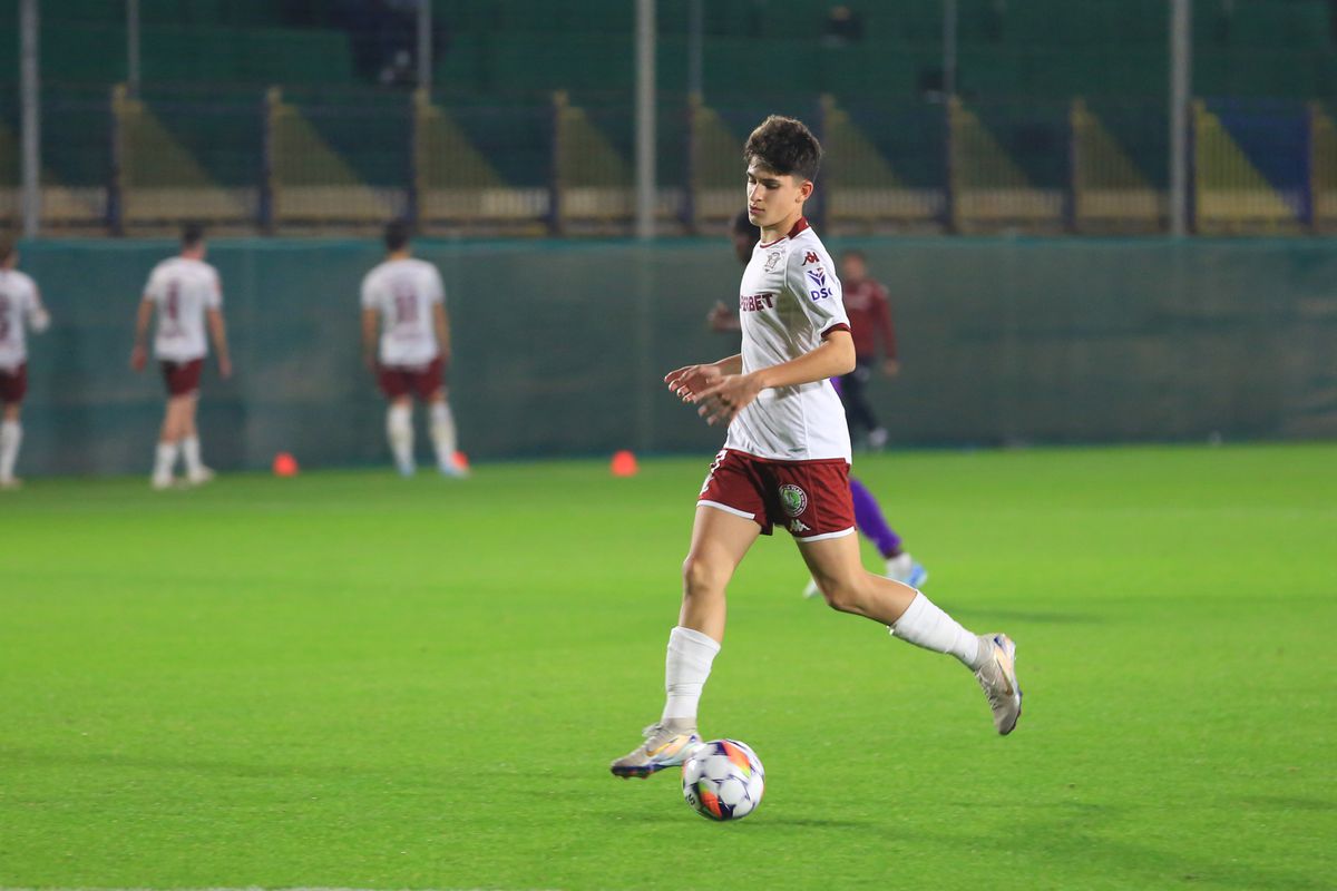 David Niculescu şi Andrei Şucu