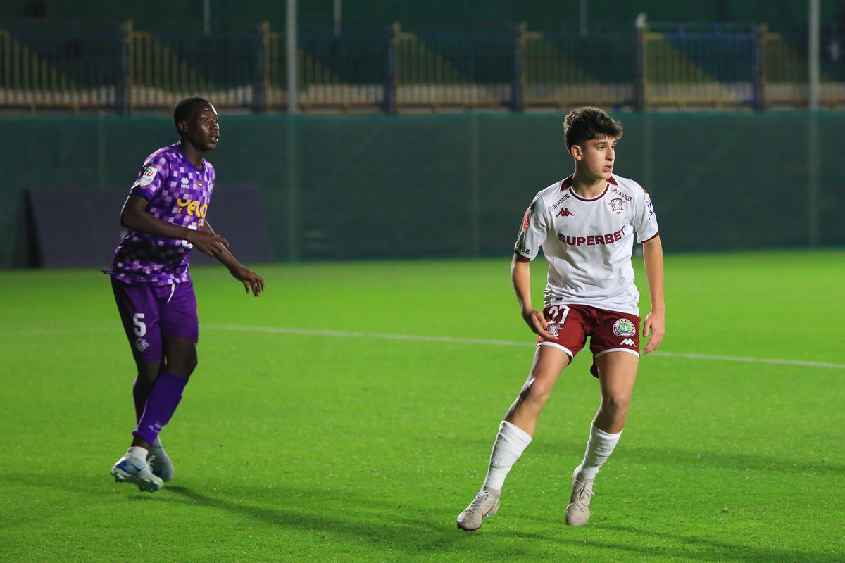 David Niculescu şi Andrei Şucu