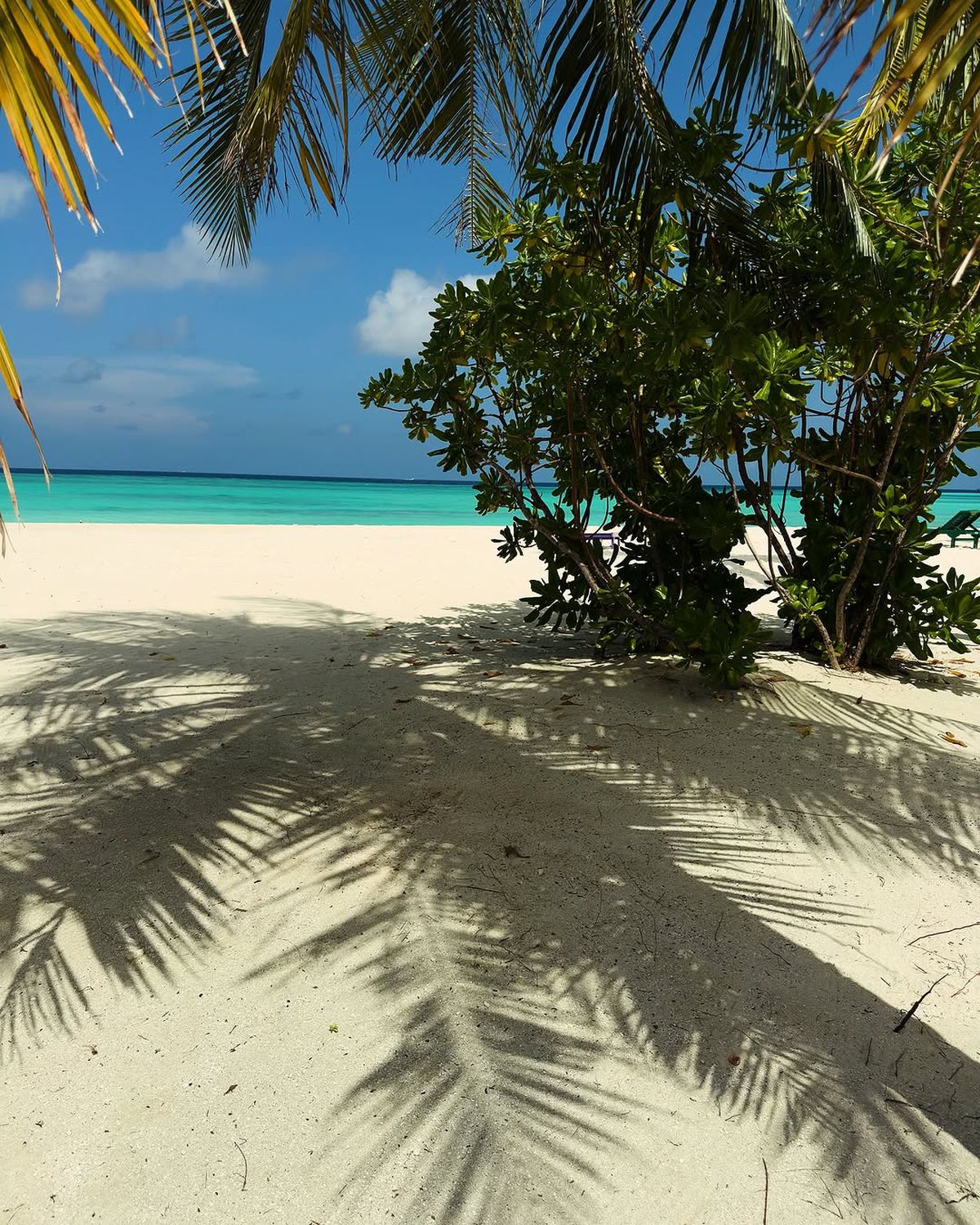 Vacanța Corinei Caragea în Maldive, ruinată » Ce a pățit prezentatoarea știrilor sportive: „E gold doar la buzunar”