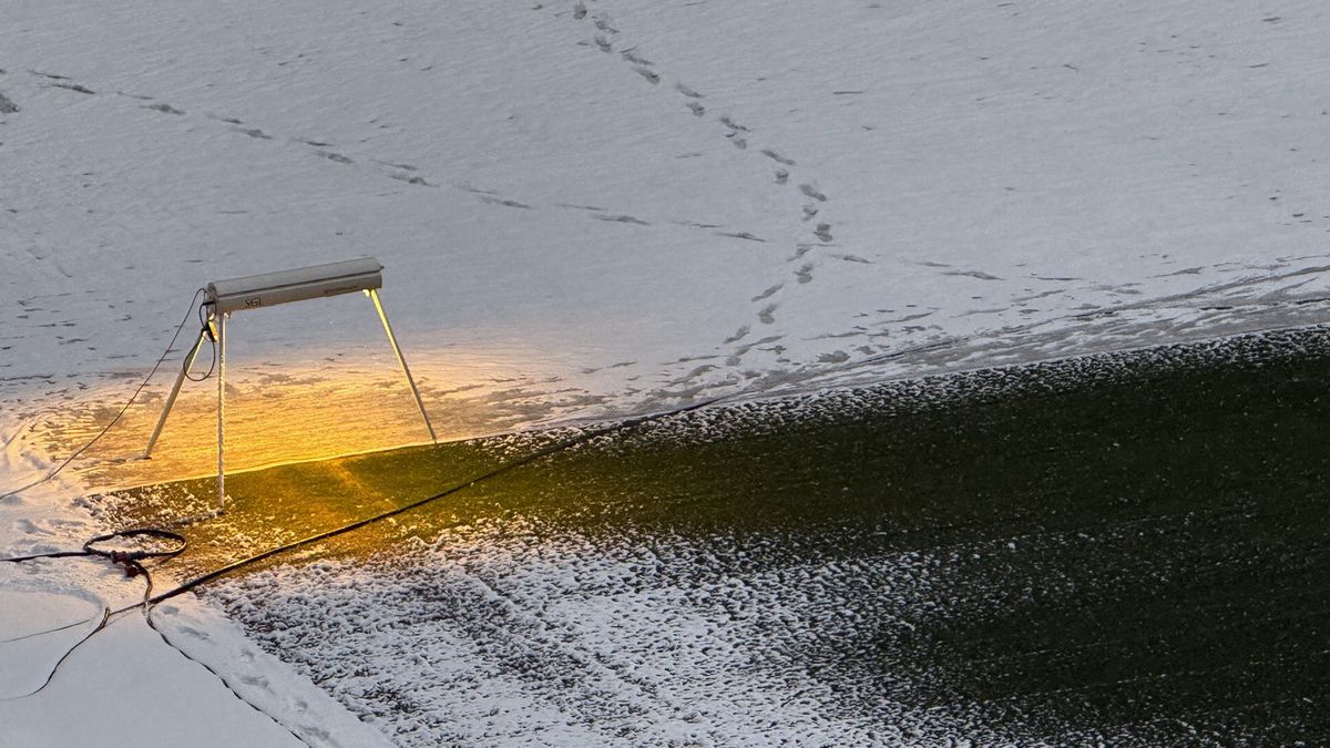 Arena Națională - ianuarie 2026