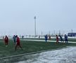 Farul - FC Botoșani, amical la Buftea