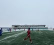 Farul - FC Botoșani, amical la Buftea