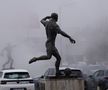 Statuia lui Cătălin Hîldan în Complexul Sportiv Dinamo. Foto: Andrei Furnigă, GSP