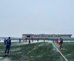 Farul - FC Botoșani, amical la Buftea