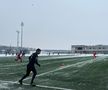 Farul - FC Botoșani, amical la Buftea