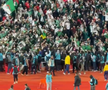 Fanii Algeriei, dezamăgiți de maniera arbitrajului / foto: X @instantfoot