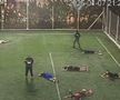 Uciși în timp ce jucau fotbal! / foto: ecuavisa