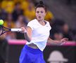 România - Italia, în barajul pentru menținerea în Grupa Mondială a Fed Cup