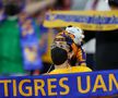 BAYERN MUNCHEN - TIGRES, finala Campionatului Mondial al Cluburilor