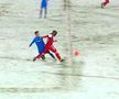 Penalty după câteva secunde în Botoșani - Craiova! Bîrsan le-a refuzat eronat o lovitură de pedeapsă gazdelor