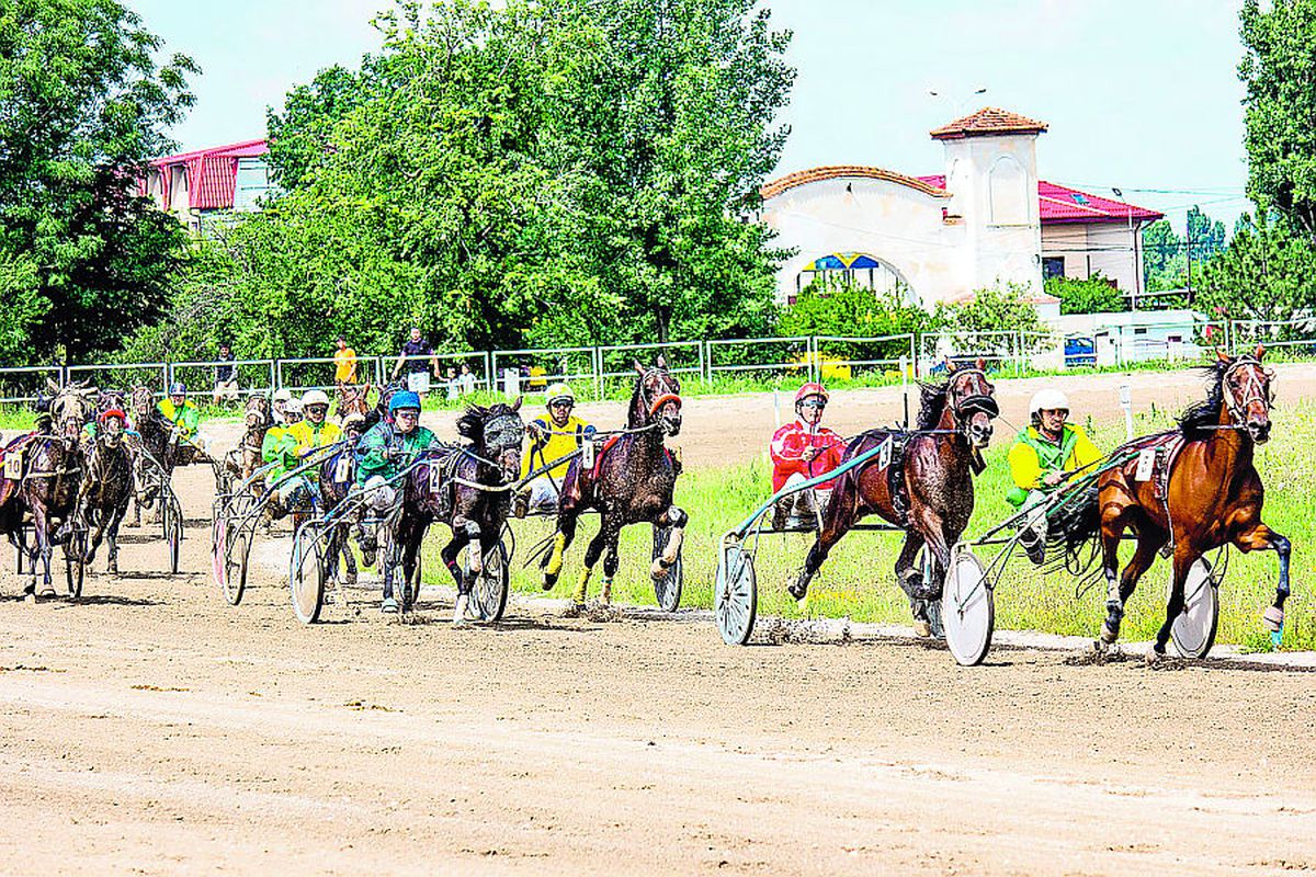 Incredibil unde s-a ajuns: și caii se dopează! Secretele murdare ale curselor de trap + fenomenul dopingului pe hipodromul de la Ploiești