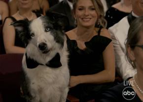 Messi a fost vedeta serii la gala Premiilor Oscar de la Los Angeles. Ce rol a jucat în filmul „Anatomia unei căderi”!