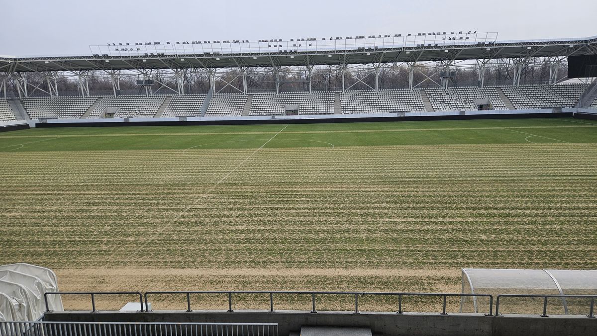 Se schimbă gazonul în „casa” lui Dinamo: imaginile publicate