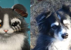 Monster Hunter Wilds îi ajută pe jucători să facă față pierderii animalelor lor de companie