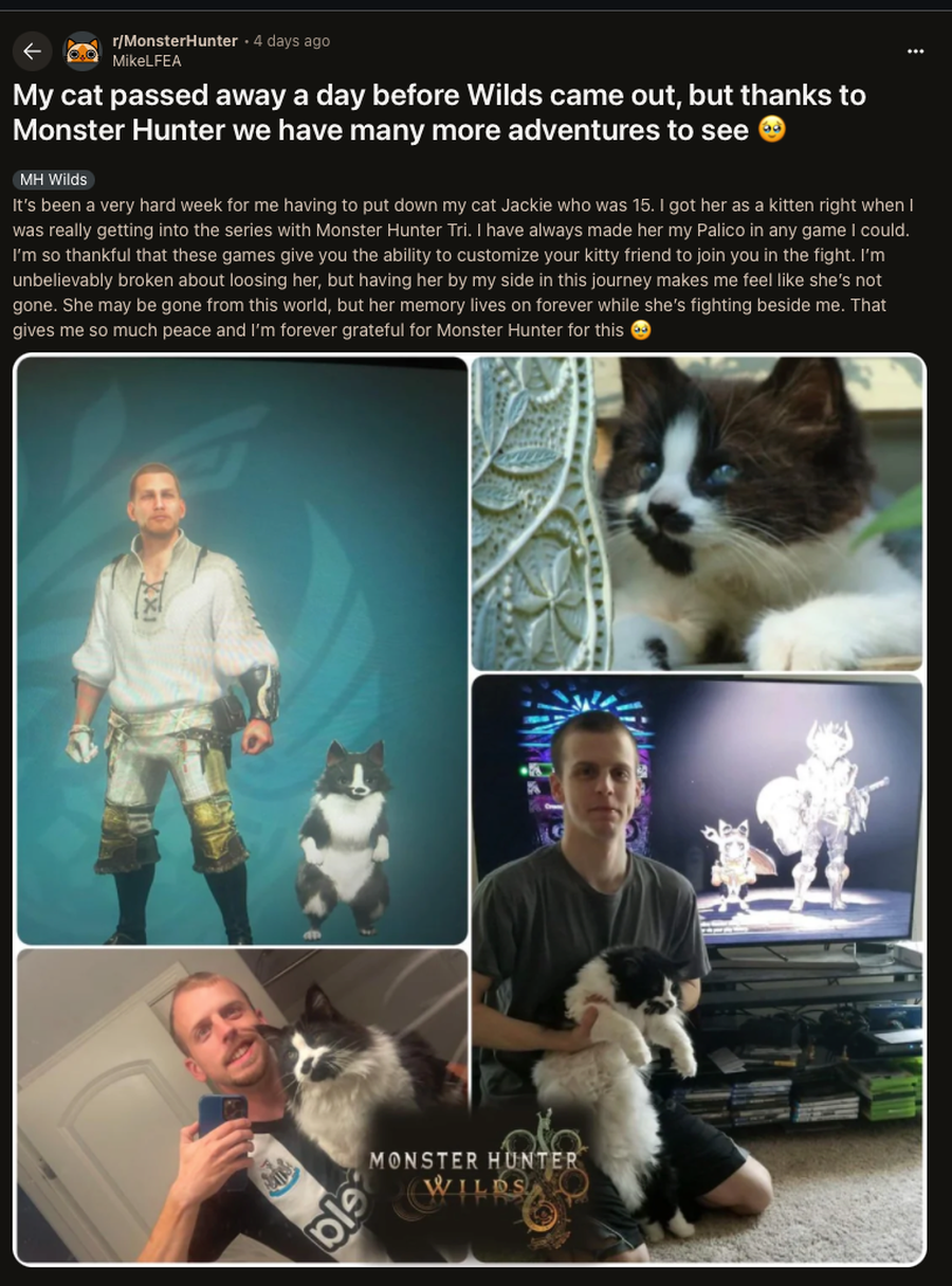 Monster Hunter Wilds îi ajută pe jucători să facă față pierderii animalelor lor de companie