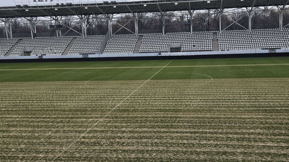 Se schimbă gazonul în „casa” lui Dinamo: imaginile publicate