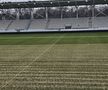 Se schimbă gazonul pe stadionul Arcul de Triumf