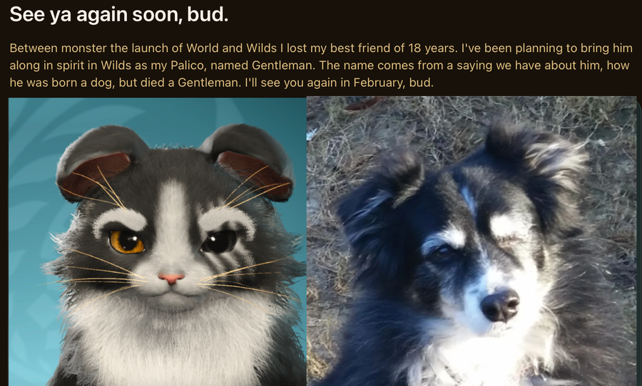 Monster Hunter Wilds îi ajută pe jucători să facă față pierderii animalelor lor de companie